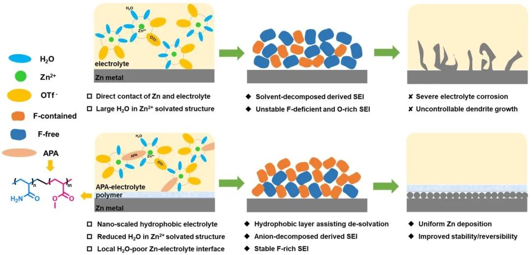 电池顶刊集锦！EES、Adv. Sci.、Angew、AEM、AFM、ACS Nano、Nano Energy等成果！