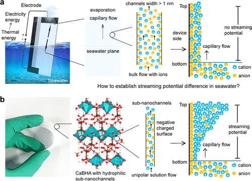 夏宝玉/刘宏芳，最新JACS！