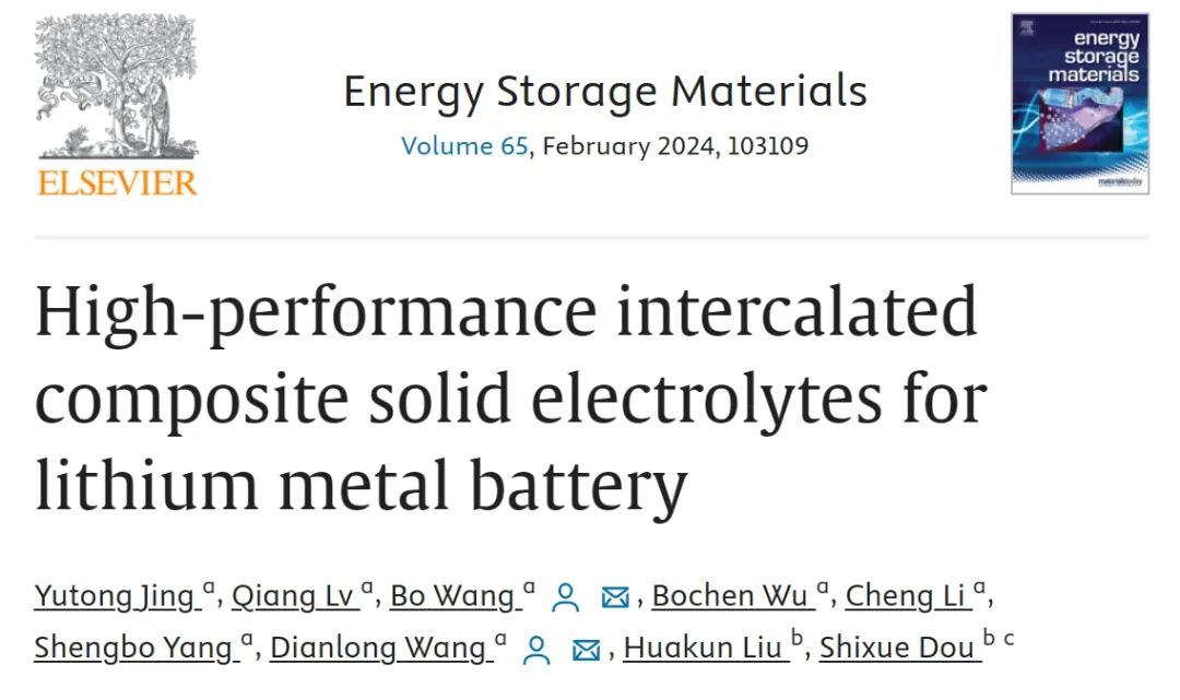 ​哈工大王殿龙/王博EnSM：高性能插层复合固体电解质实现稳定锂金属电池