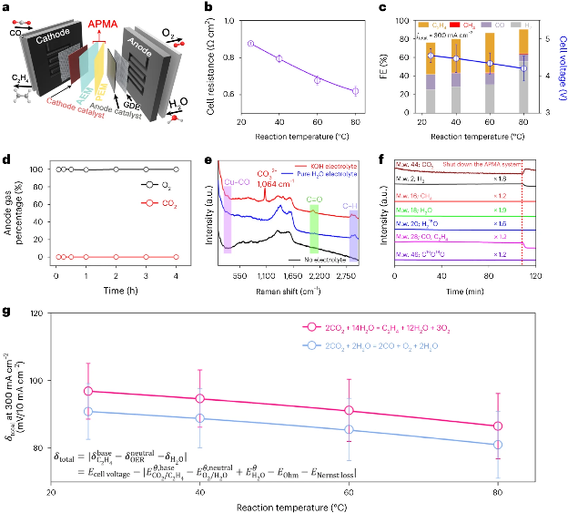 香港理工大学，最新Nature Energy！