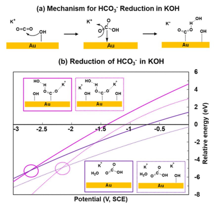 【计算文献解读】ACS Catalysis：KOH浓度的影响和OH–在CO2电催化还原中的作用