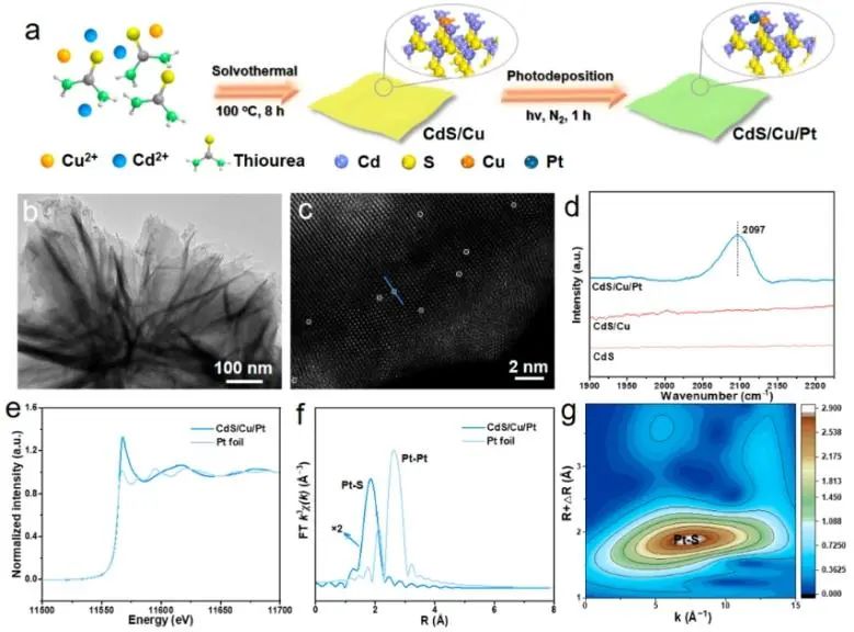 福州大学ACS Catalysis：CdS纳米片上构建Cu-Pt电子转移通道，用于选择性合成亚胺