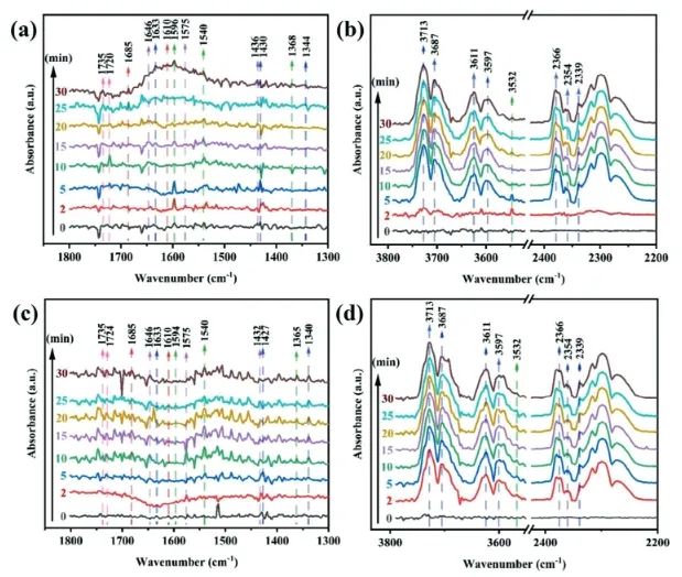 Advanced Science：Cu调制无铅Cs4MnSb2Cl12双钙钛矿，用于光催化还原CO2