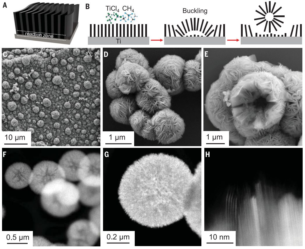 材料合成革命！助力锂电池登顶今日Science封面！