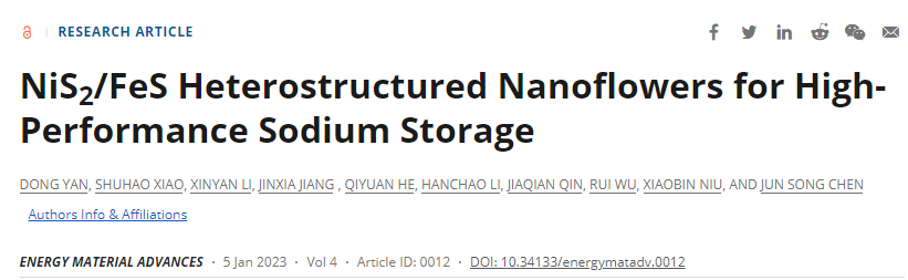 【DFT+实验】电子科技大学陈俊松教授团队EMA：具有优异储钠性能的NiS2/FeS纳米花状异质结材料