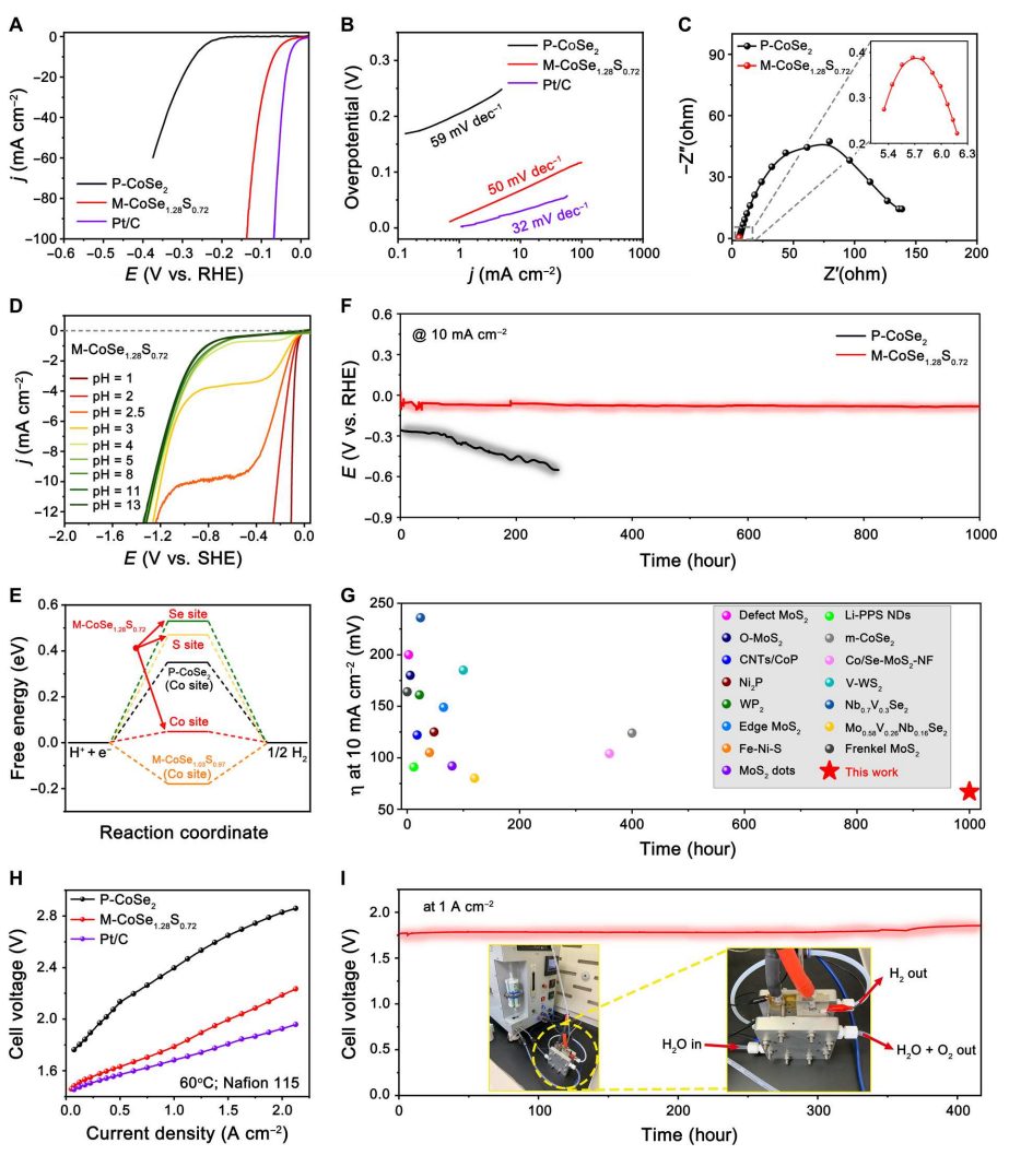 中科大高敏锐：最新Science子刊！