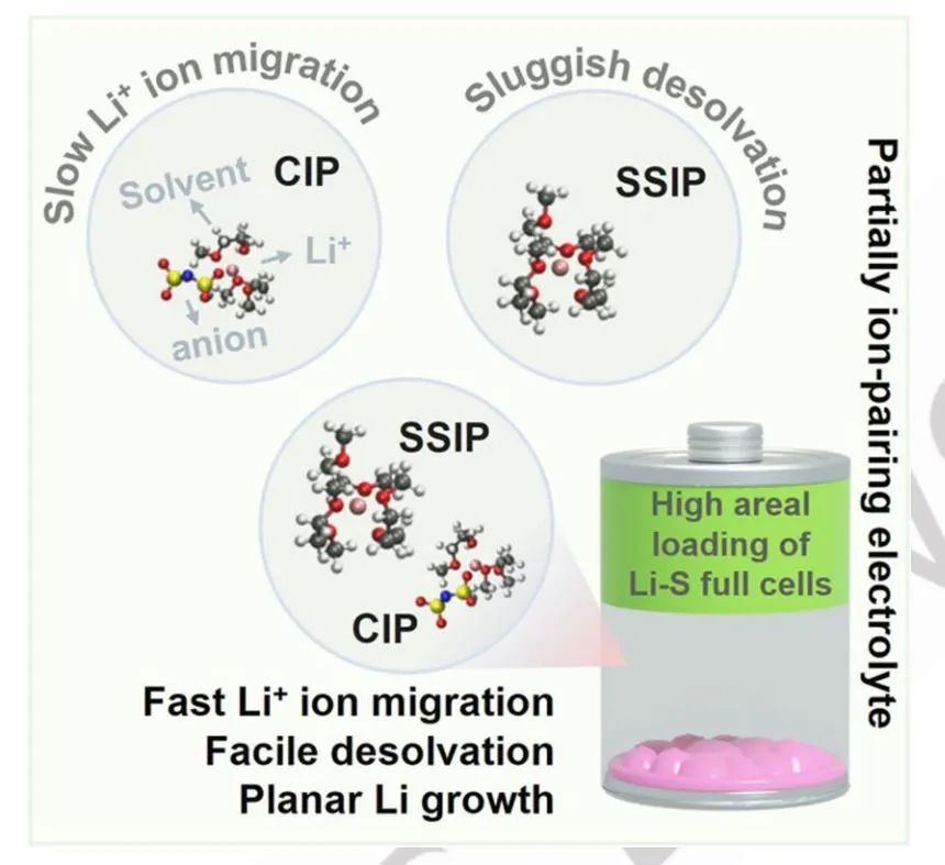 ​Angew：极端工作条件下锂-硫电池的部分离子对溶剂化结构设计