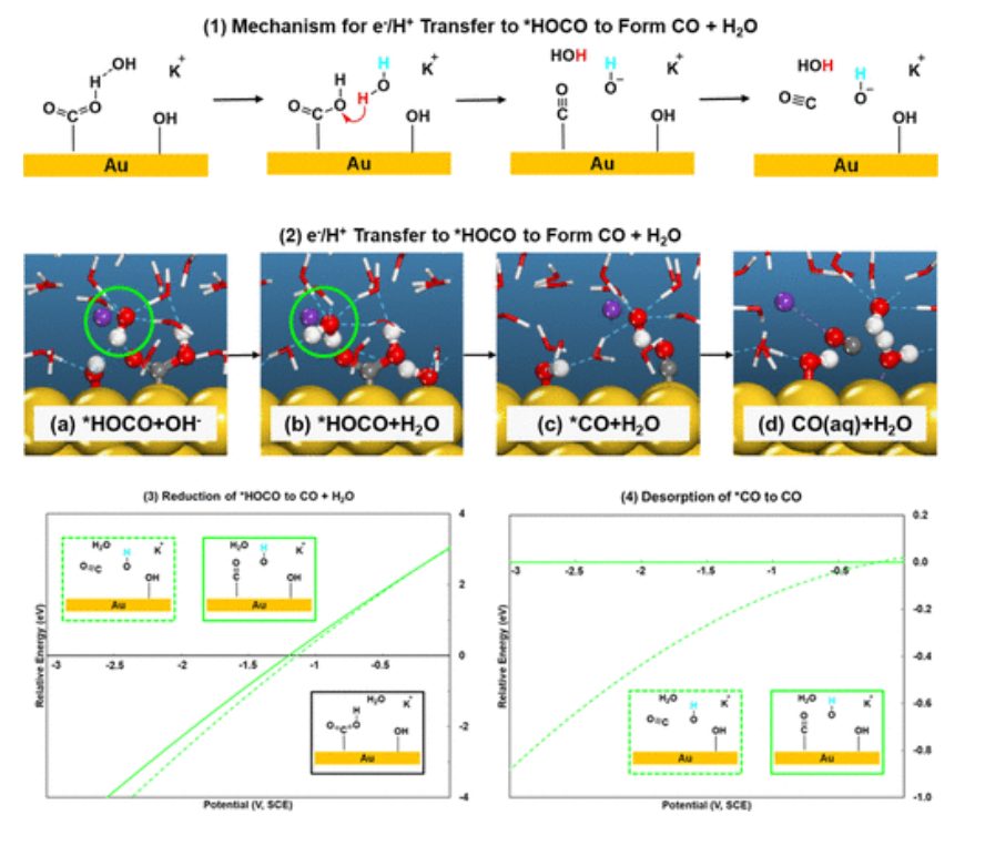 【计算文献解读】ACS Catalysis：KOH浓度的影响和OH–在CO2电催化还原中的作用