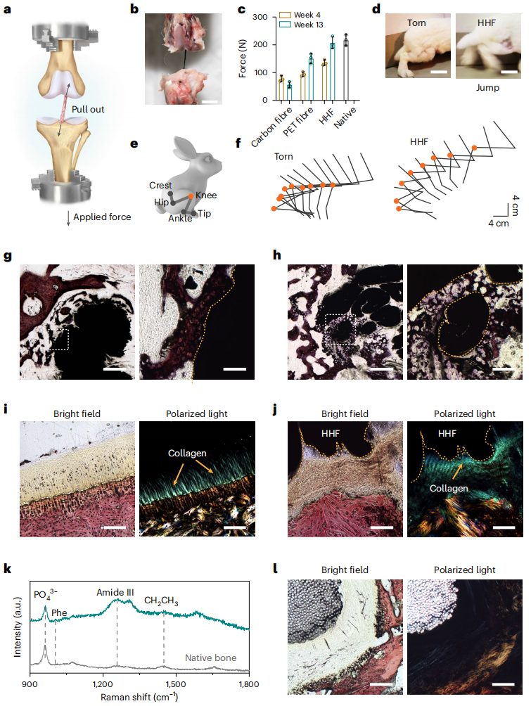 彭慧胜教授，2023年首篇Nature Nanotechnology！