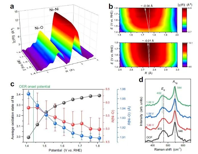 上海应物所张林娟团队，最新Nature子刊！