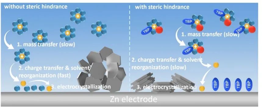 ​支春义EES：空间位阻效应调节锌金属负极的电化学还原动力学