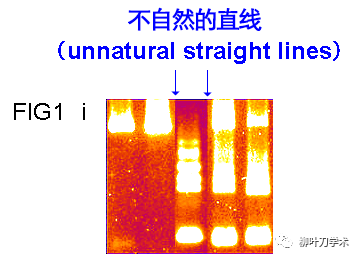 学术造假、导师自杀，她将这段学术经历出书贩卖，年收入上百万