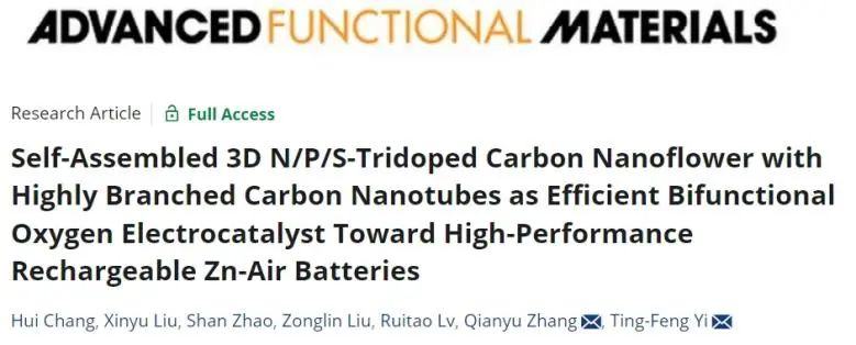 伊廷锋/张千玉AFM：碳纳米管自组装三维N/P/S掺杂纳米花，实现高效双功能氧电催化