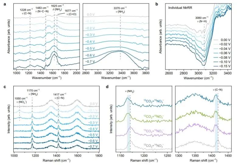 北大/电子科大Nature子刊：NC催化剂触发NO3−和CO2顺序还原，实现选择性尿素电合成