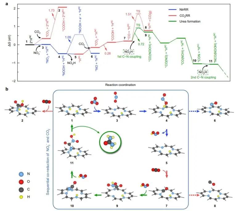 北大/电子科大Nature子刊：NC催化剂触发NO3−和CO2顺序还原，实现选择性尿素电合成