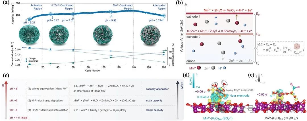 【DFT+实验】天津大学钟澄教授团队:锌锰氧化物电池锰基正极电荷存储机制及优化策略的最新进展