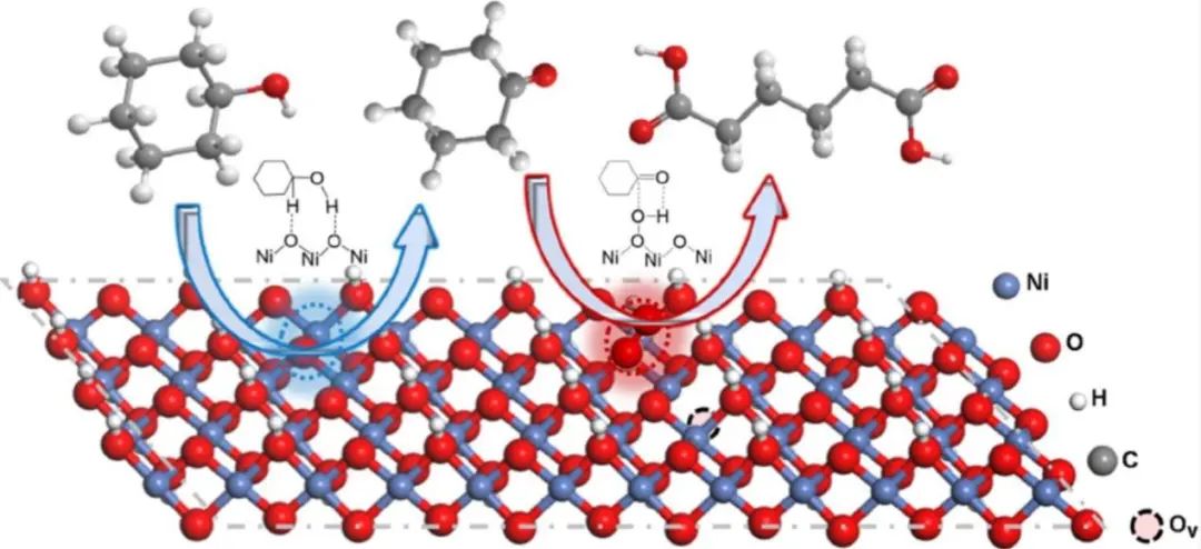 唐颐/徐昕/高庆生JACS：控制NiOOH活性位点定向电合成己二酸和环己酮