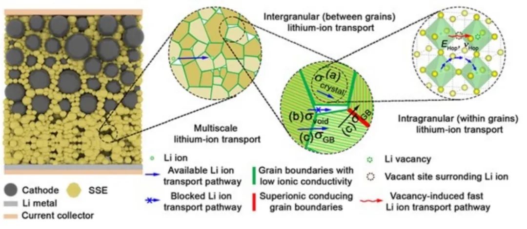 孙学良等AM：精确定制锂离子传输通道实现超长循环无枝晶全固态锂金属电池