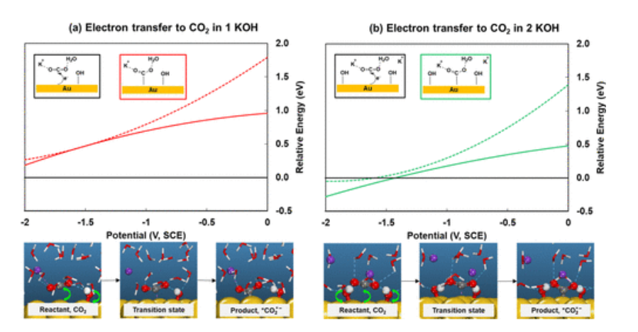 【计算文献解读】ACS Catalysis：KOH浓度的影响和OH–在CO2电催化还原中的作用