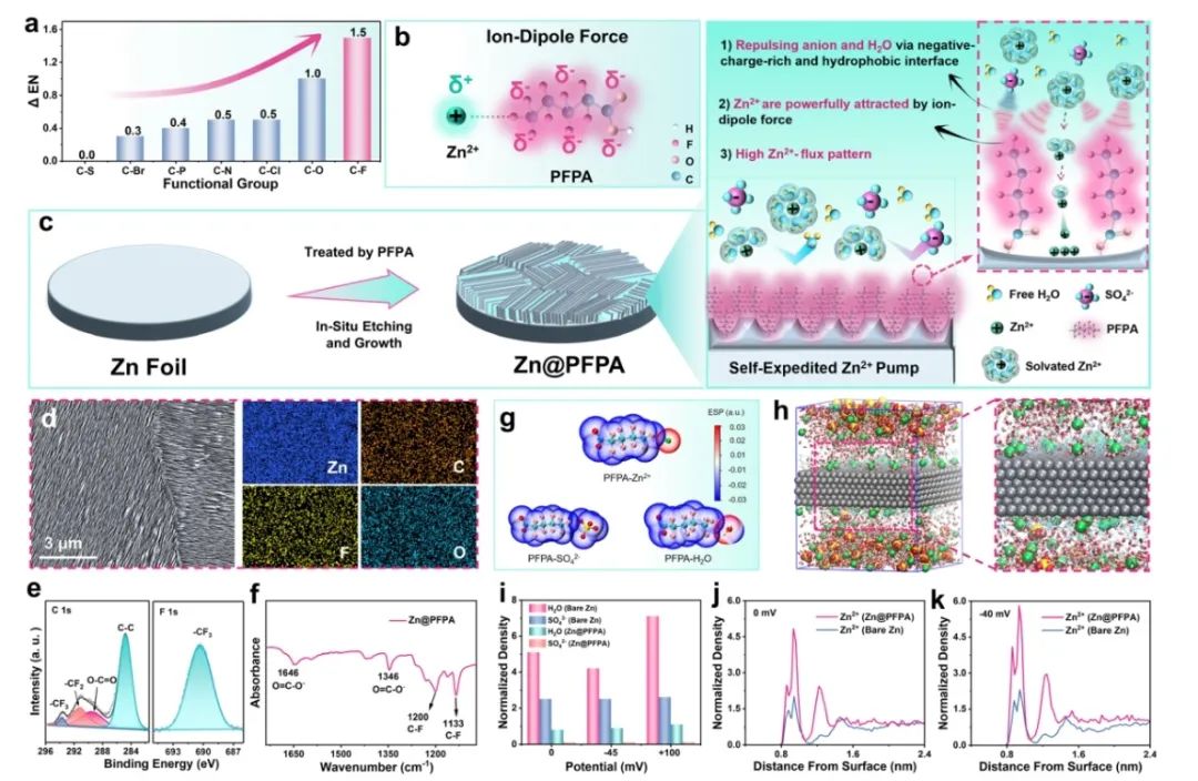 ​广工大李成超/厦大杨阳EES：离子偶极相互作用驱动的 Zn2+泵和阴离子排斥界面实现超高倍率锌金属负极