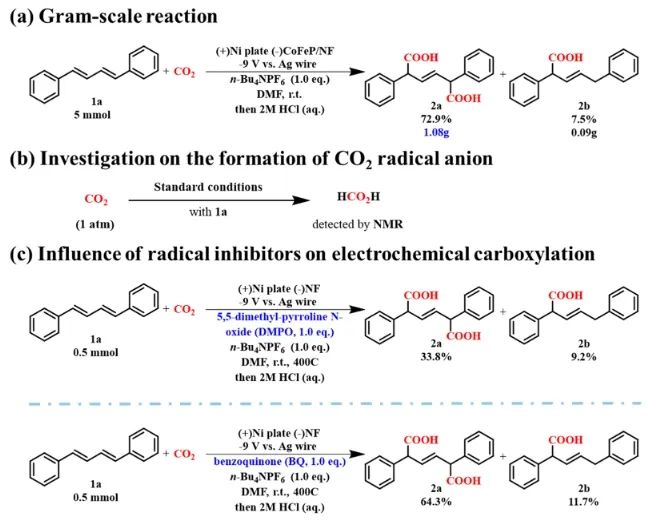 江南大学ACS Catalysis：Co-Fe协同作用立大功，实现温和条件下促进CO2转化为C6+二元酸