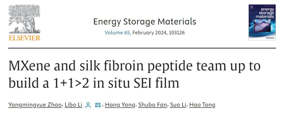 ​哈理工李丽波EnSM：MXene与丝素蛋白肽协同构建1+1>2原位SEI膜