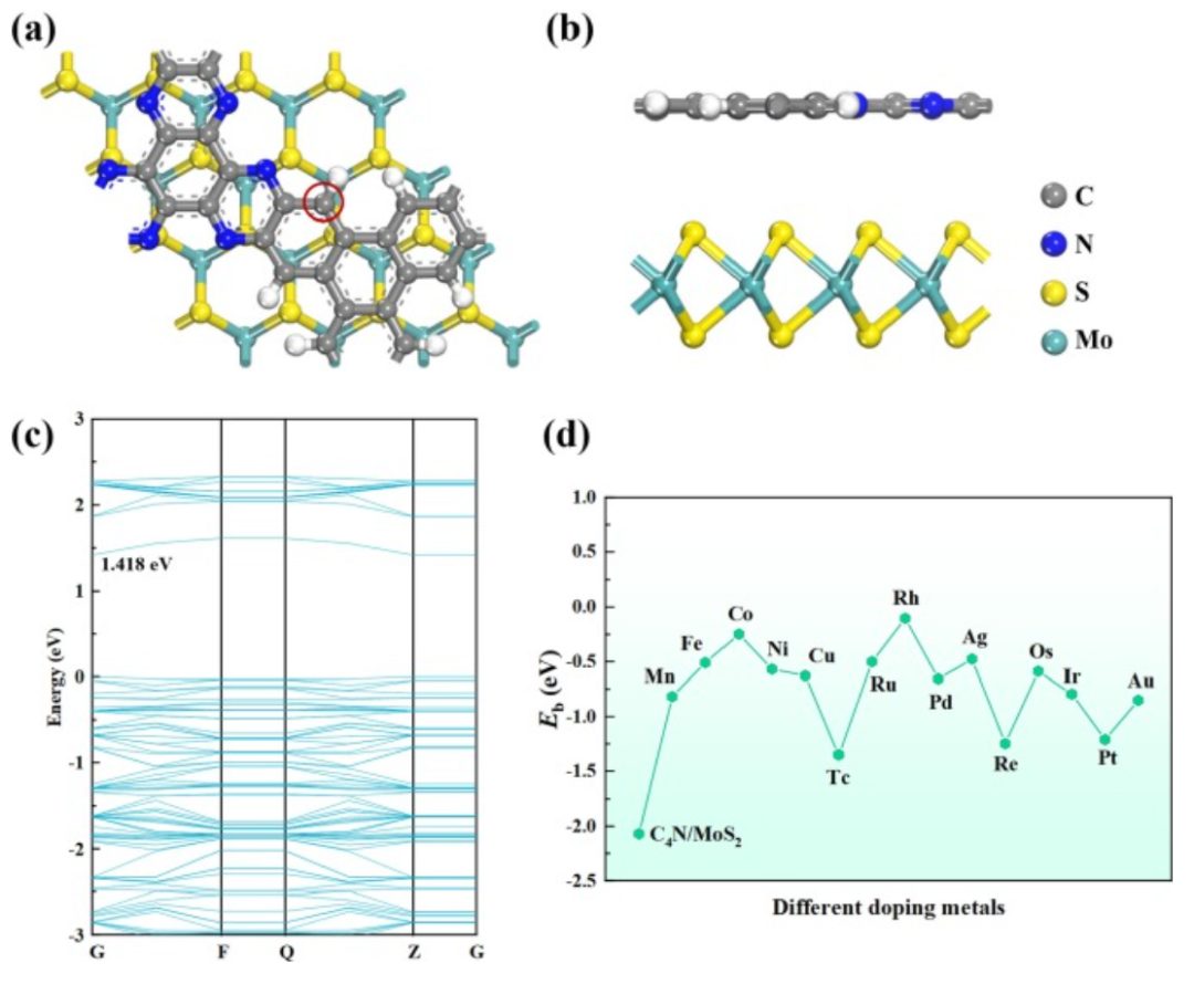 【纯计算】J. Colloid Interf. Sci.：用于促进氧还原、析氧和析氢的单过渡金属修饰C4N/MoS2异质结构