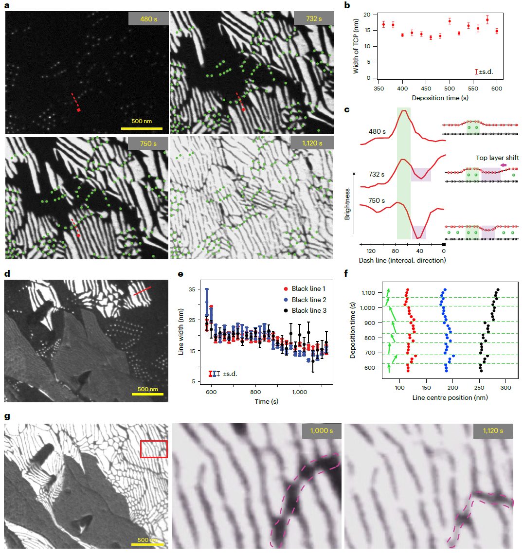 斥资30亿！重庆大学首个大科学装置表现出色，今日Nature Nanotechnology！