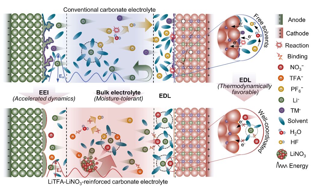 【MD+实验】Angew：高压锂电碳酸酯电解质新进展