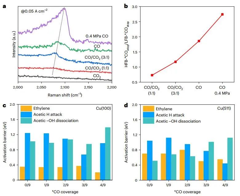 杀疯了！大连化物所，一天里连发Science和两篇Nature大子刊！