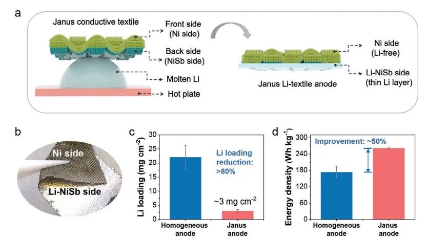 港理工郑子剑AFM：柔性Janus 锂纺织负极用于高能锂金属电池