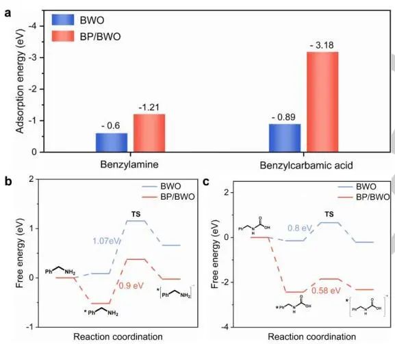 【DFT+实验】山东大学Angew.：近100%选择性！BP/BWO S-型异质结助力苯胺氧化和CO2光转化