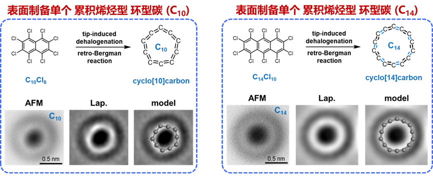 《自然》：同济大学许维团队首次合成两种新型碳同素异形体