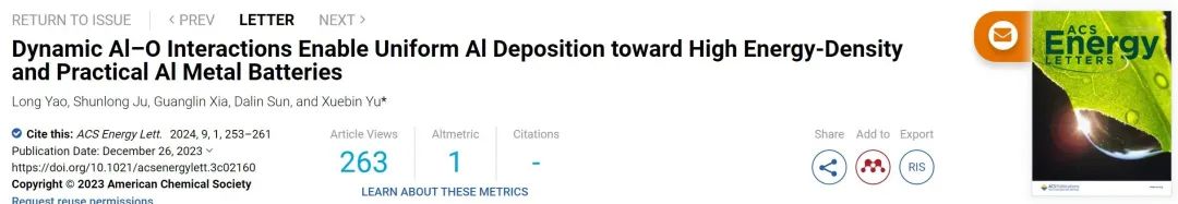 复旦余学斌ACS Energy Lett.：动态Al-O相互作用使铝均匀沉积实现高性能铝金属电池