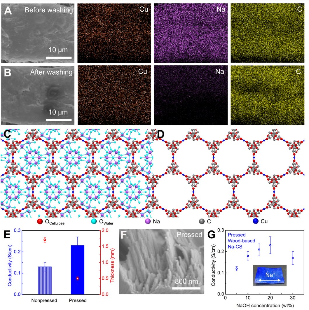 胡良兵&李恬，最新Science子刊！