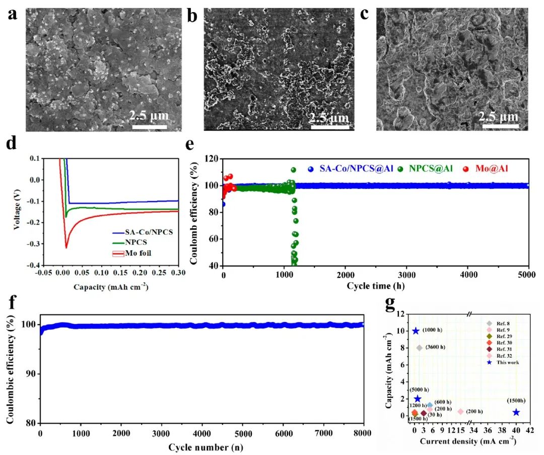 复旦余学斌ACS Energy Lett.：动态Al-O相互作用使铝均匀沉积实现高性能铝金属电池