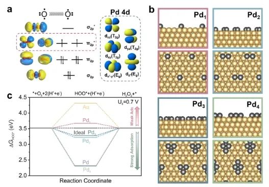 ​JACS：调制Au@Pd纳米线上Pd 4d轨道重叠程度，实现选择性制备H2O2