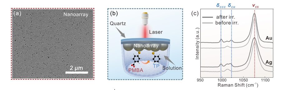 Nano Lett. | 东南大学邱腾、郝祺团队：探究等离激元催化中的氧化机制：揭示活性氧物种的作用