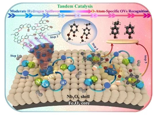 中科大/曲阜师大ACS Catalysis：Ni-Cu合金耦合氧空位，实现中等氢溢出以加速木质素加氢裂化