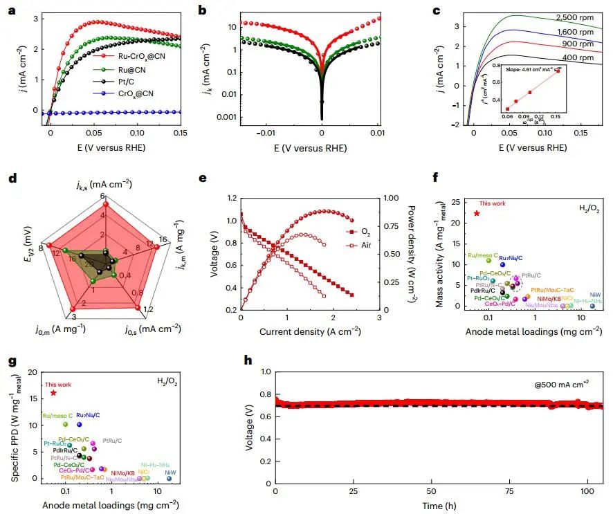 历时一年零一个月！浙大最新Nature Catalysis！