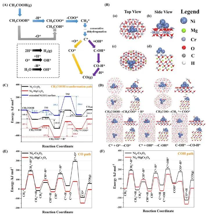 【DFT+实验】ACS Catalysis：Ni-MgCr2O4尖晶石助力乙酸的自热重整