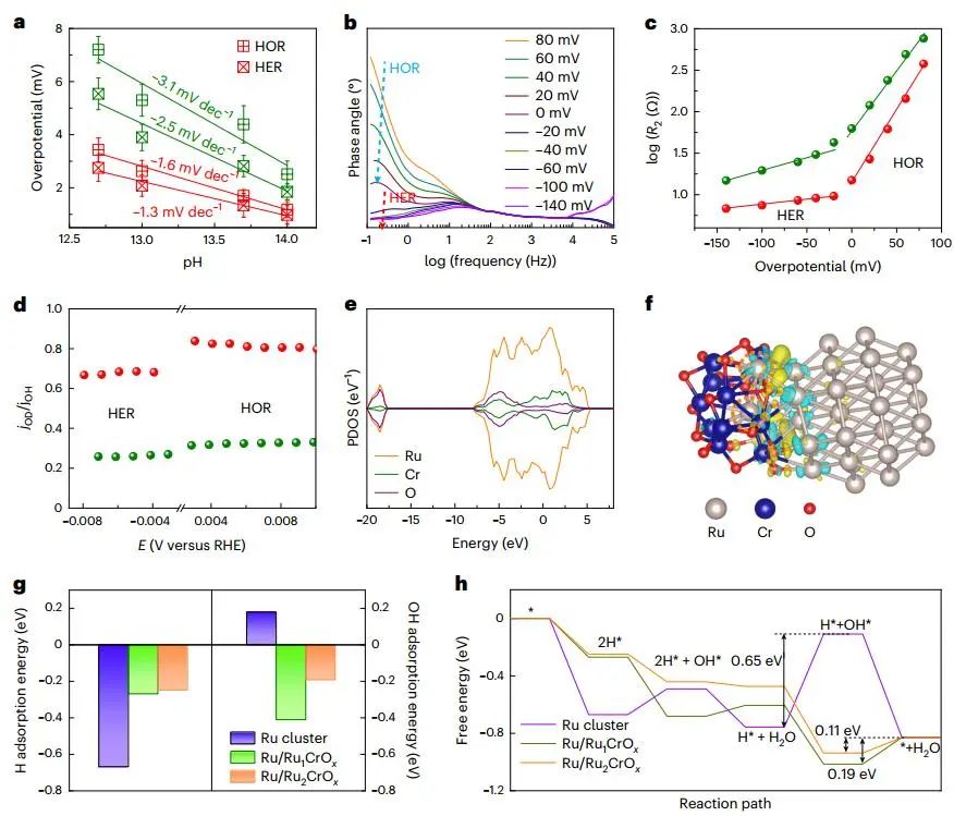 历时一年零一个月！浙大最新Nature Catalysis！