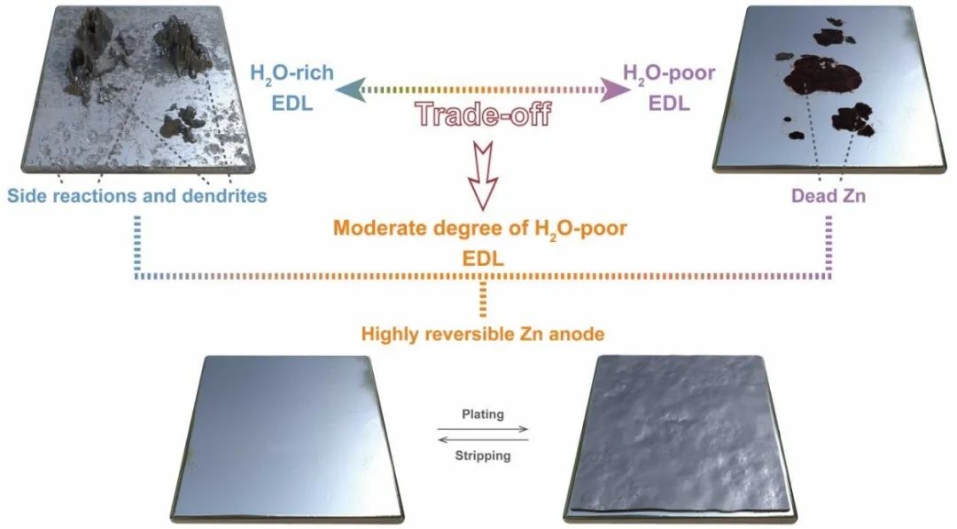 ​中科大朱永春EES：界面双电层H2O平衡实现高可逆锌金属电池