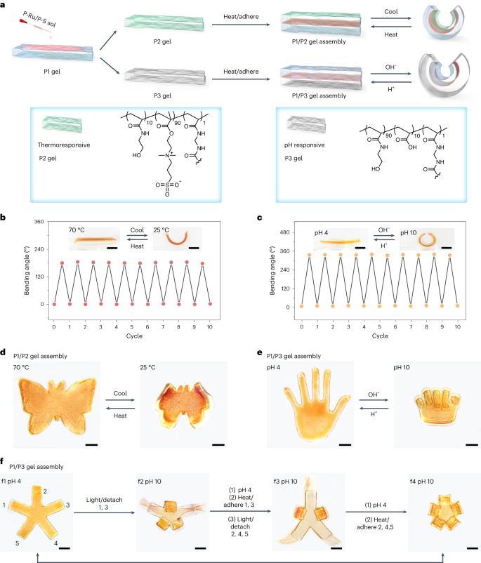 中科大，最新Nature Chemistry！