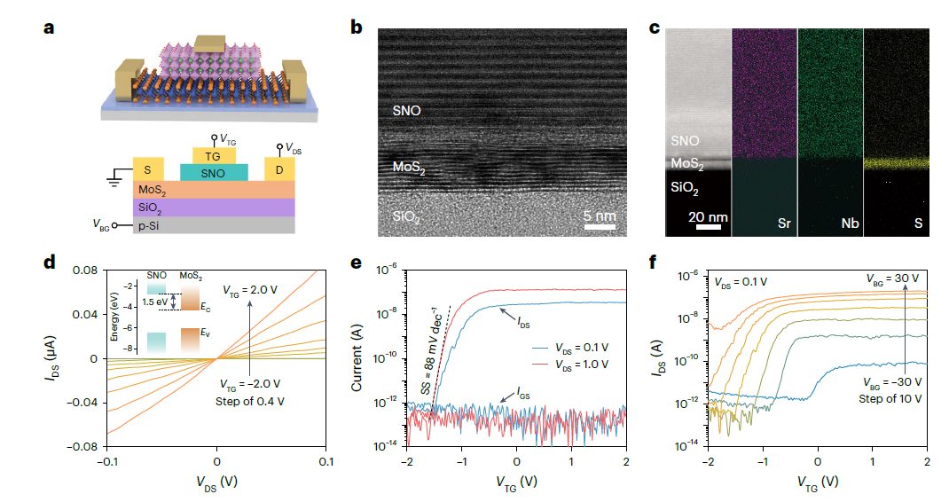 复旦大学，最新Nature Electronics！2D钙钛矿氧化物SNO助力高性能光电器件！