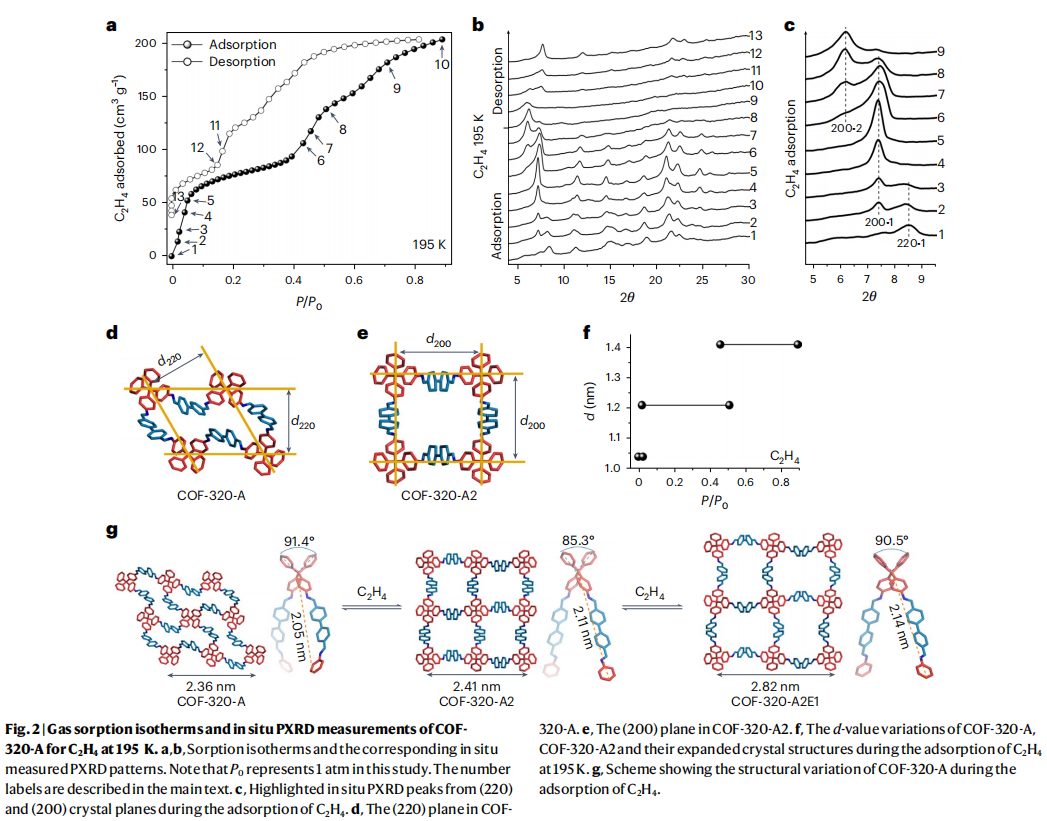 【纯计算】Nature Materials：柔性多孔晶体的阻转异构行为的研究