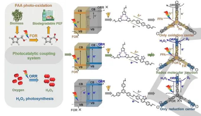 【DFT+实验】华南师大/南师大Angew：近100%转化率和选择性！Cu3-BT-COF助力H2O2光合作用和FFA光氧化