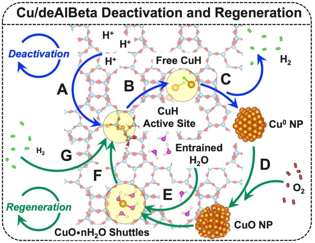 浙大李正龙教授课题组 JACS：分子筛缺陷实现铜纳米颗粒再分散为单原子