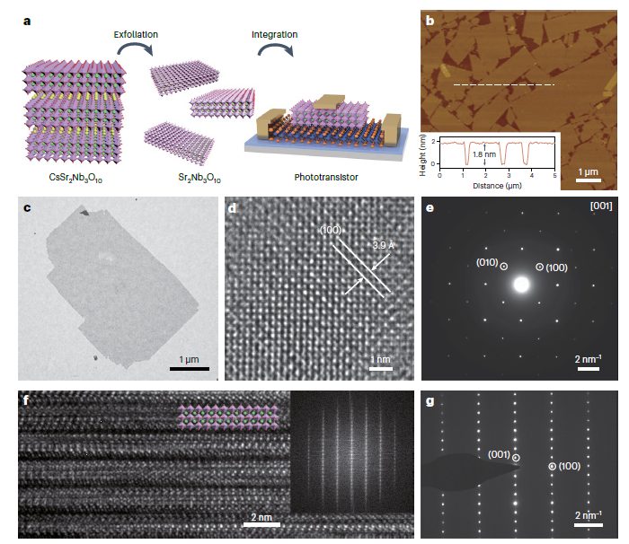 复旦大学，最新Nature Electronics！2D钙钛矿氧化物SNO助力高性能光电器件！