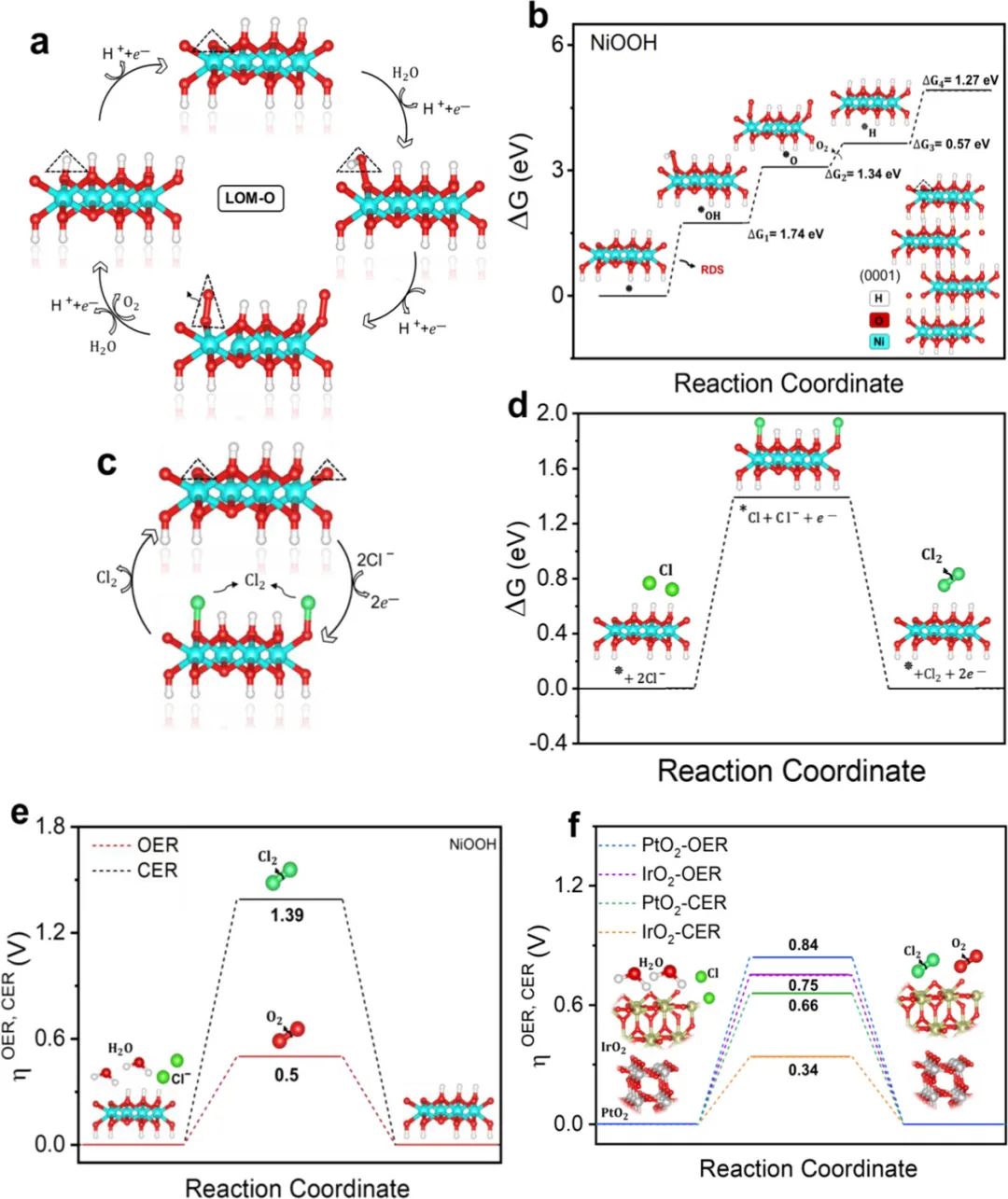 ​【DFT+实验】ACS Catalysis：双功能电催化剂！基于纳米棒阵列的分层NiO微球实现高效的海水光/电解